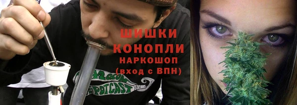 сатива Бугульма