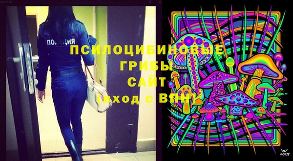 сатива Бугульма