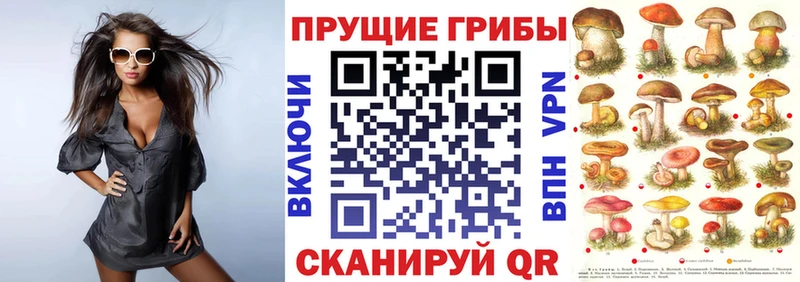 Галлюциногенные грибы мухоморы  Купить где  Вятские Поляны 